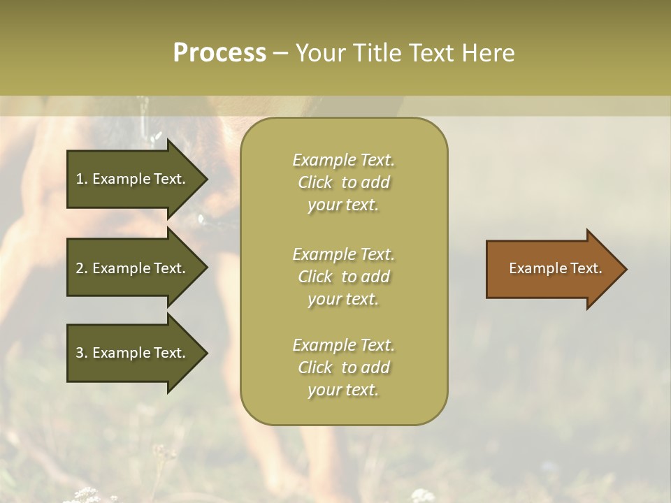 A Dog With It's Mouth Open In The Grass PowerPoint Template