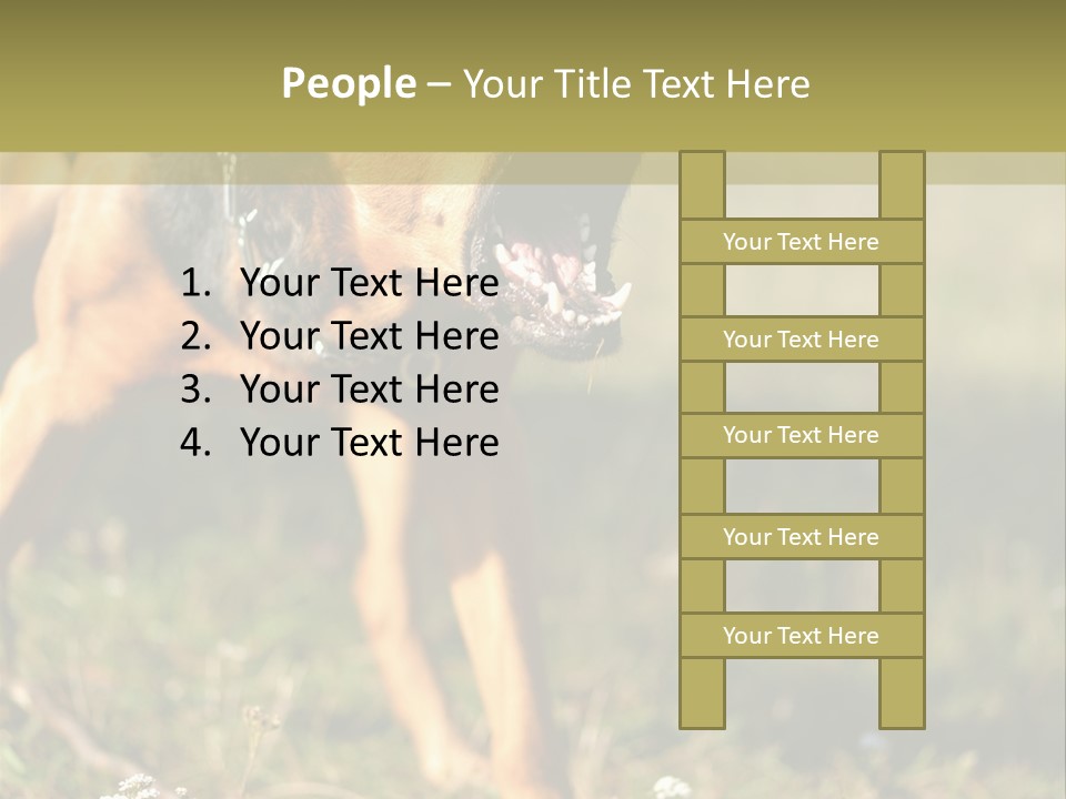 A Dog With It's Mouth Open In The Grass PowerPoint Template