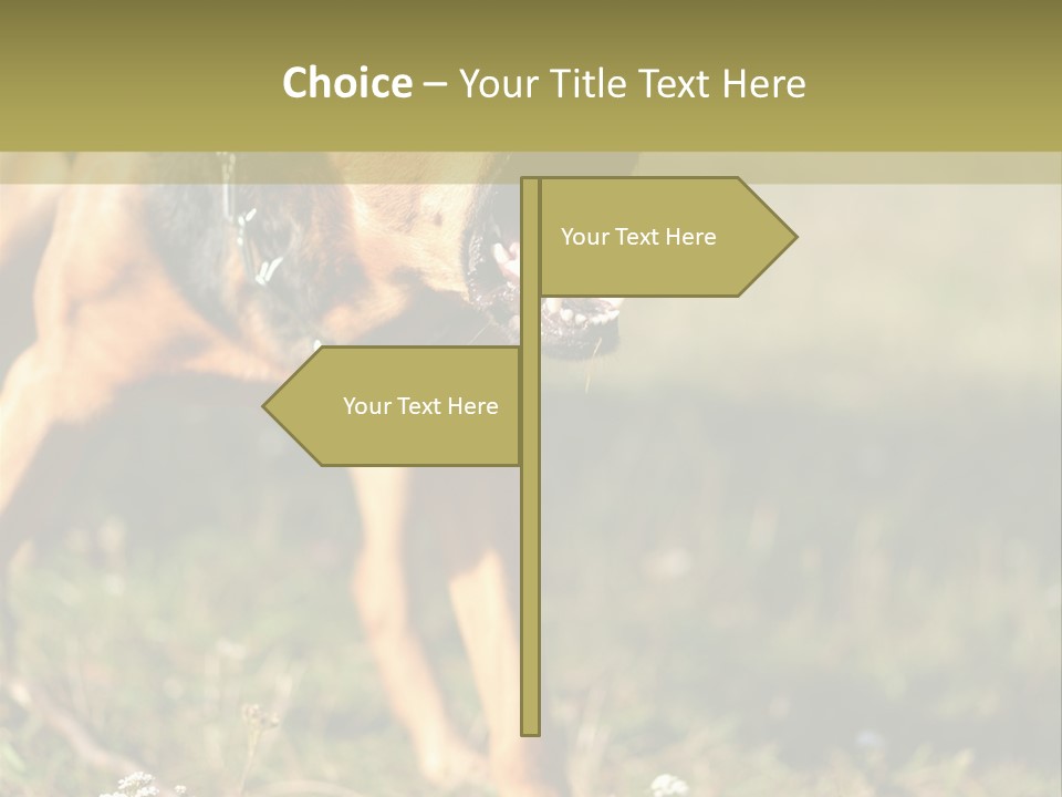 A Dog With It's Mouth Open In The Grass PowerPoint Template