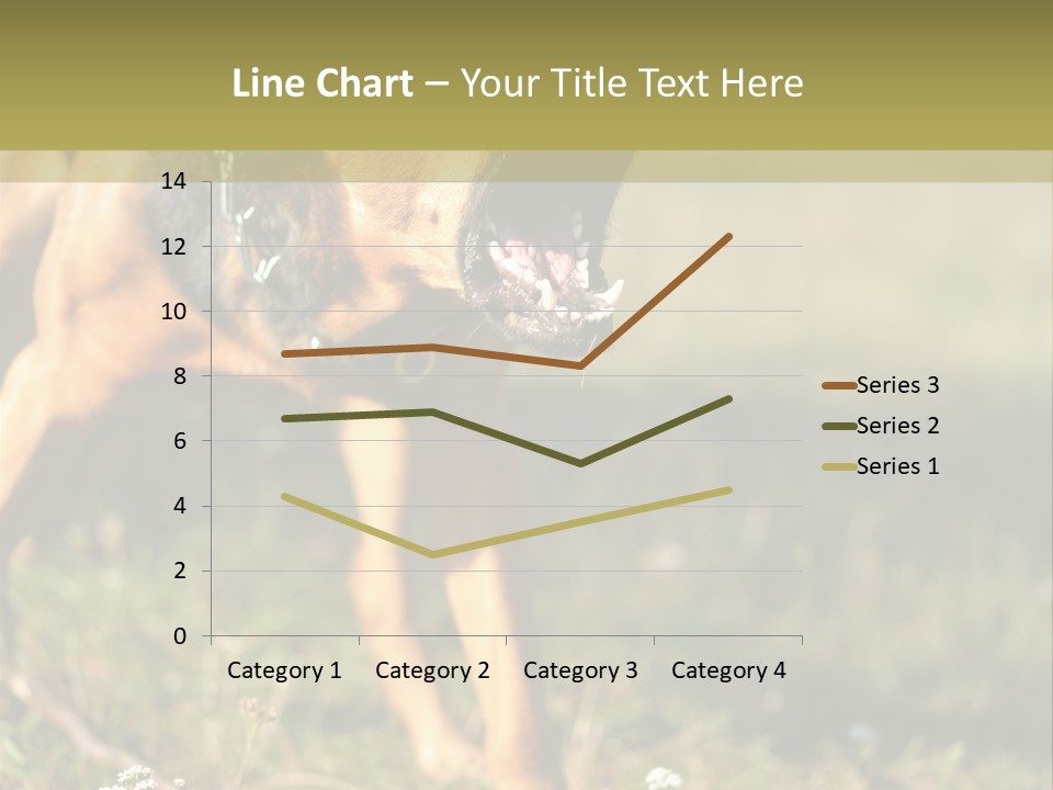 A Dog With It's Mouth Open In The Grass PowerPoint Template