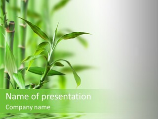 Lush Freshness Lucky PowerPoint Template