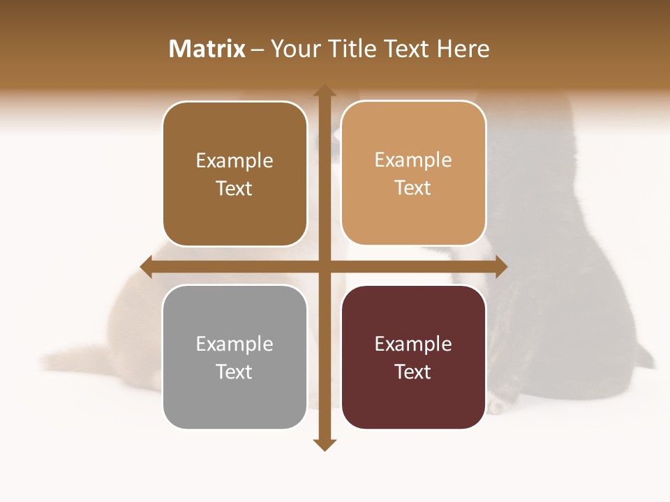 Photography Young Touch PowerPoint Template