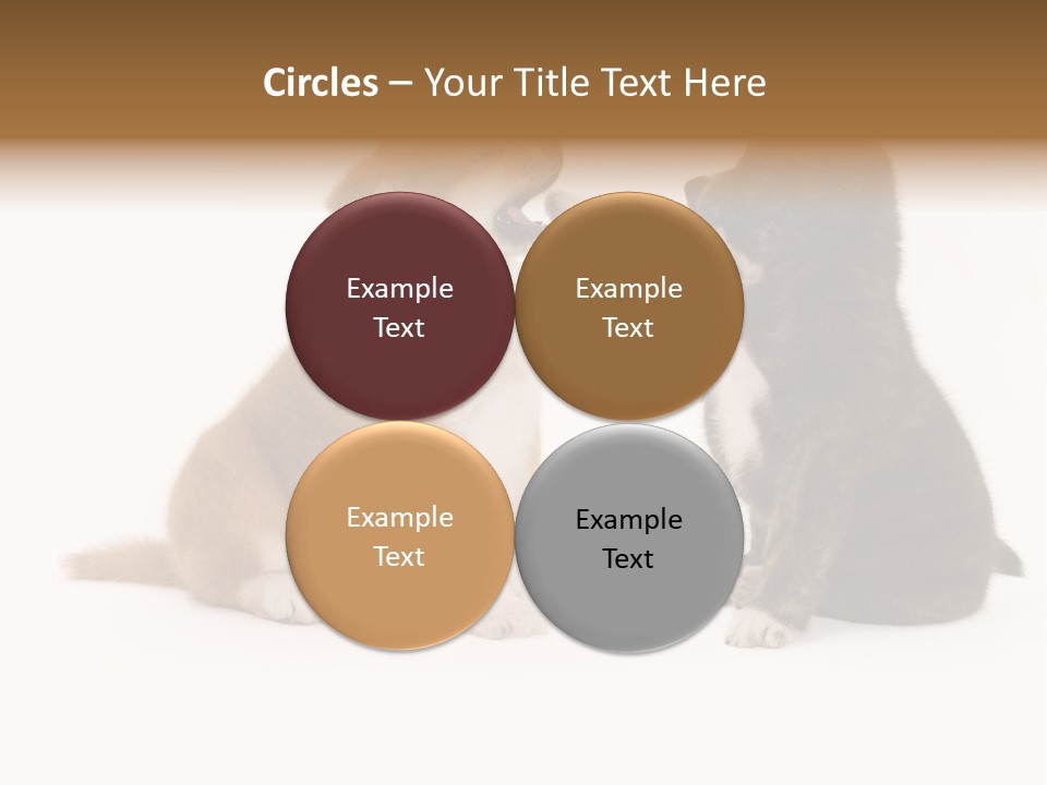 Photography Young Touch PowerPoint Template