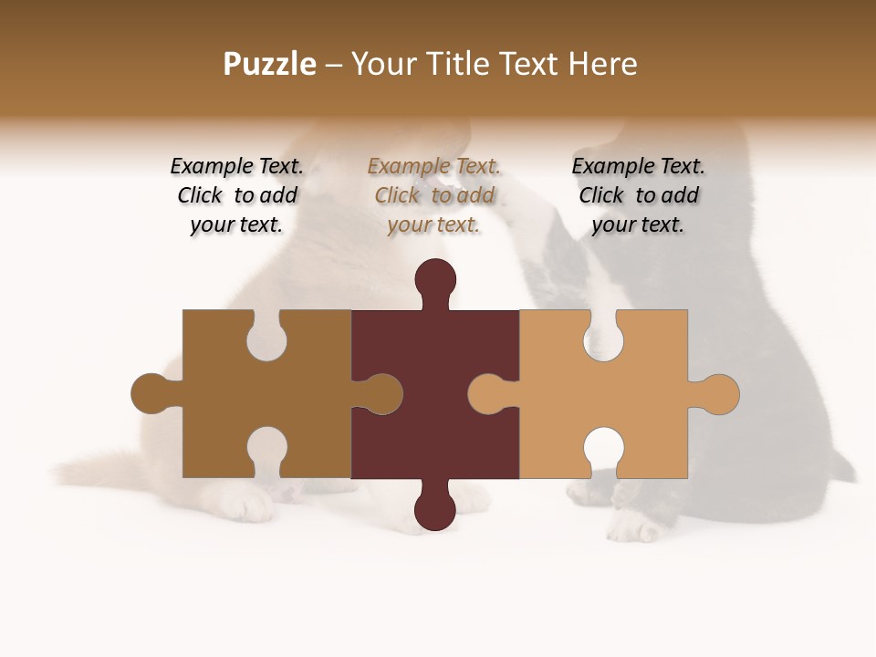 Photography Young Touch PowerPoint Template