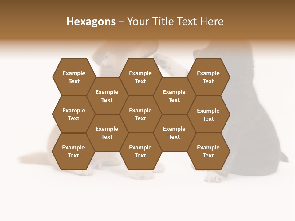 Photography Young Touch PowerPoint Template