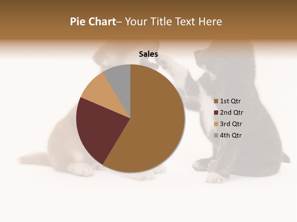 Photography Young Touch PowerPoint Template