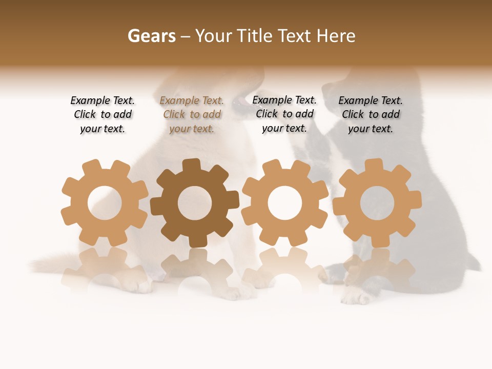 Photography Young Touch PowerPoint Template