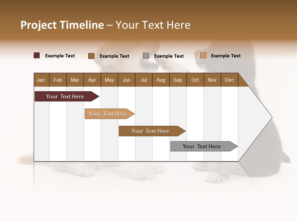 Photography Young Touch PowerPoint Template