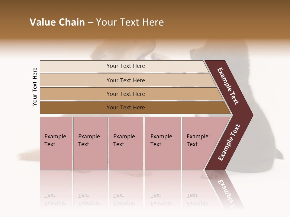 Photography Young Touch PowerPoint Template