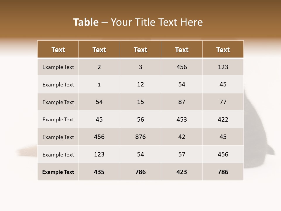 Photography Young Touch PowerPoint Template