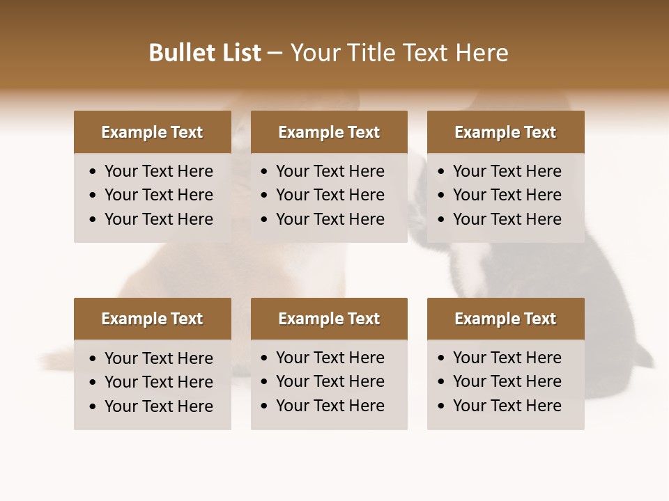 Photography Young Touch PowerPoint Template