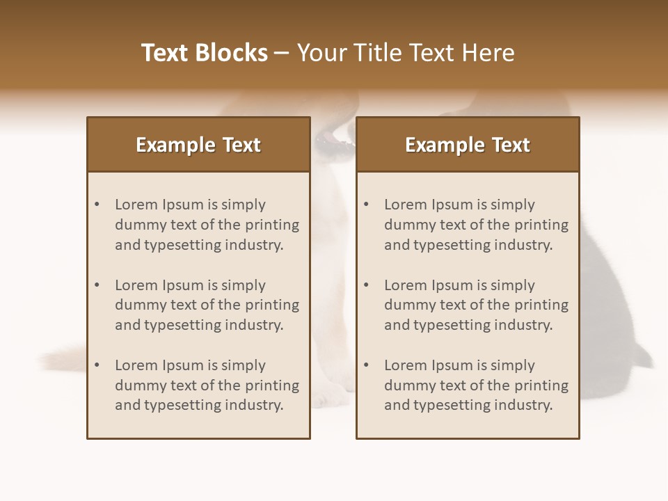 Photography Young Touch PowerPoint Template