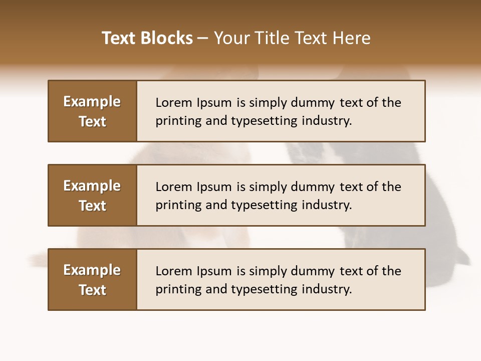 Photography Young Touch PowerPoint Template