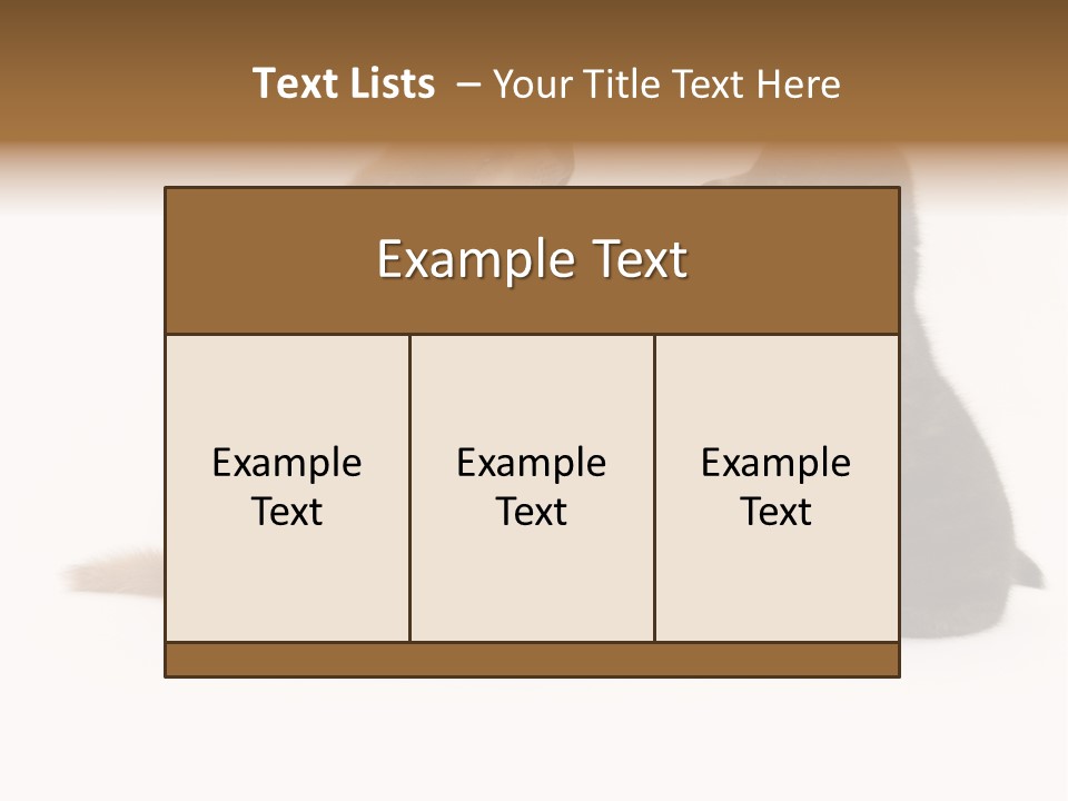 Photography Young Touch PowerPoint Template