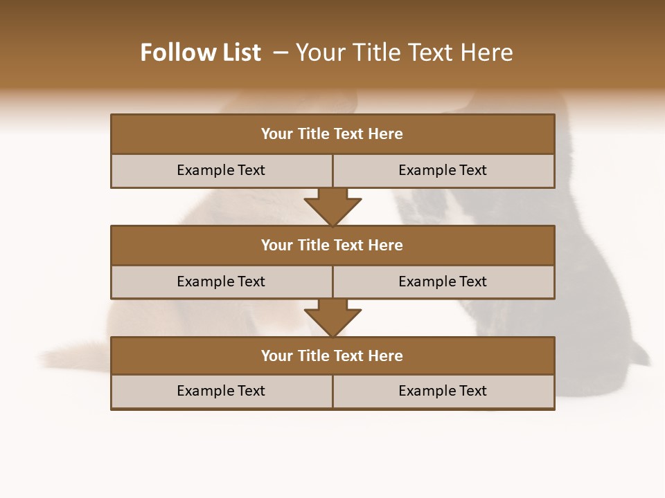 Photography Young Touch PowerPoint Template