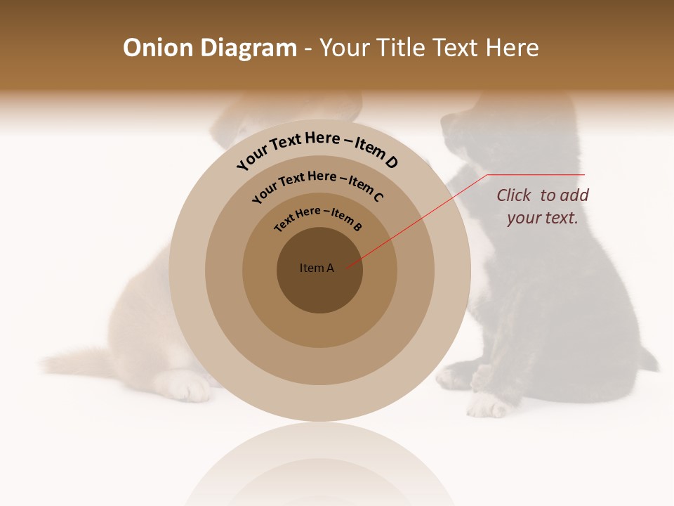 Photography Young Touch PowerPoint Template