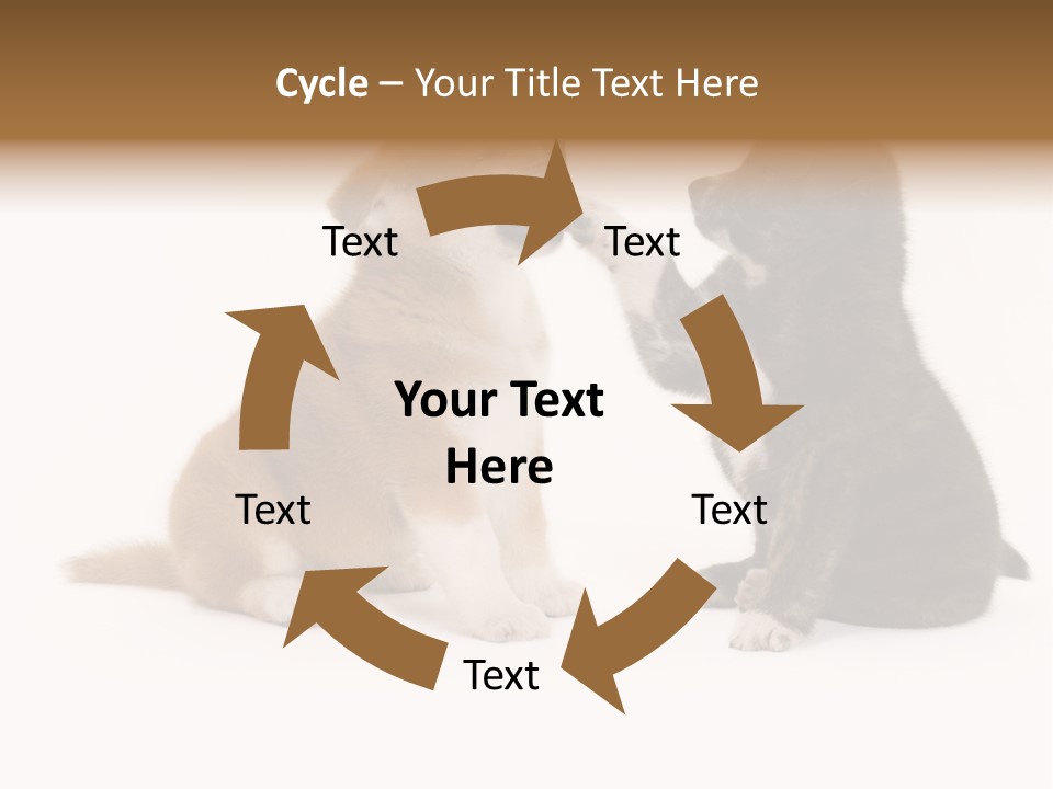 Photography Young Touch PowerPoint Template