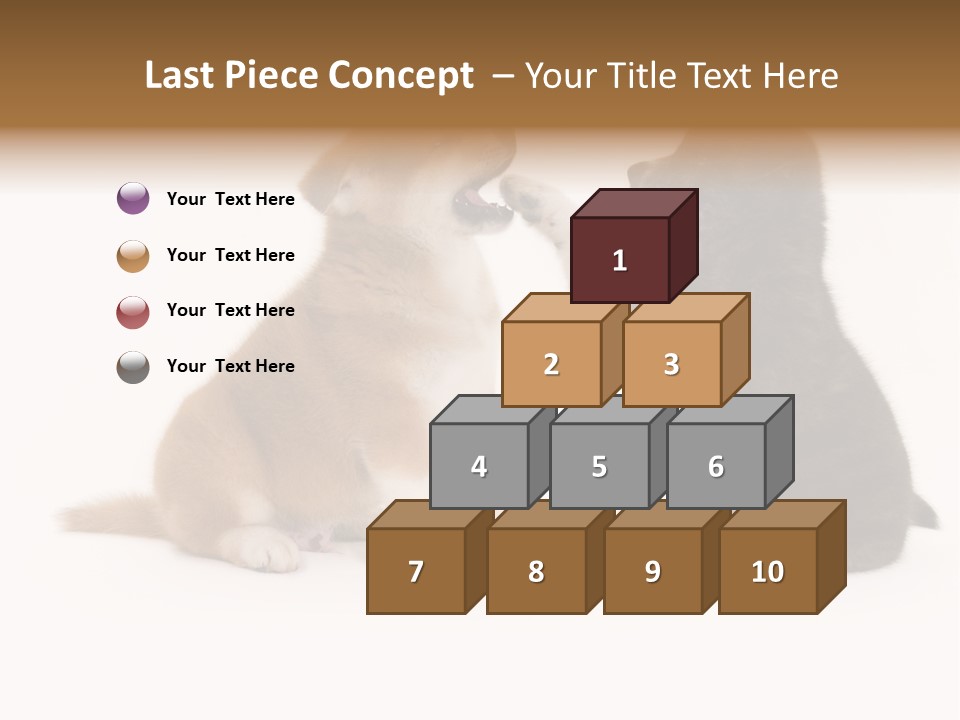Photography Young Touch PowerPoint Template