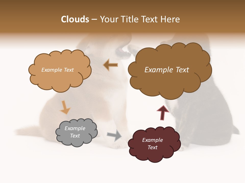 Photography Young Touch PowerPoint Template