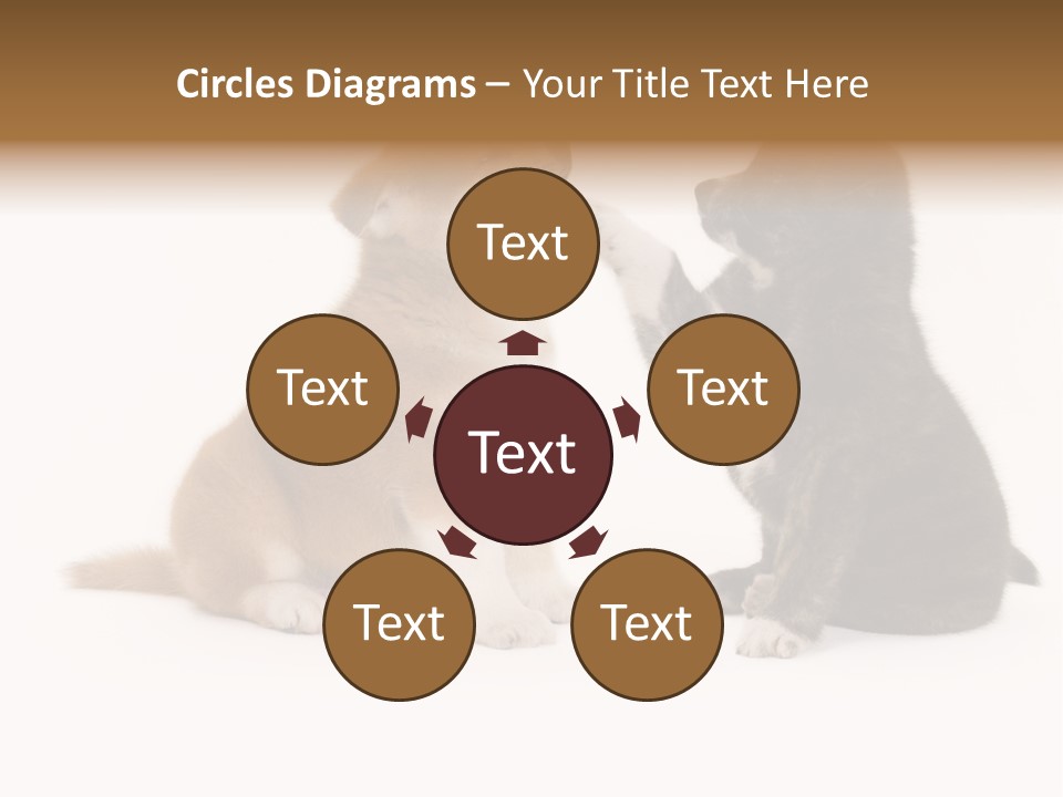 Photography Young Touch PowerPoint Template