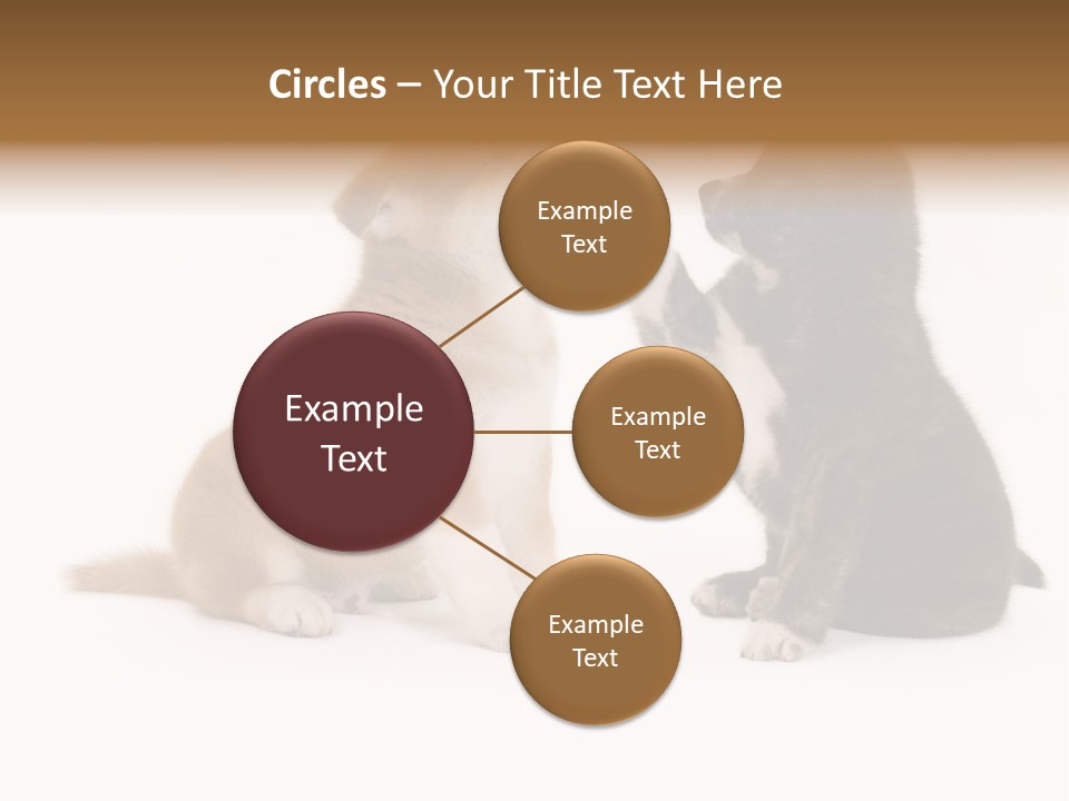 Photography Young Touch PowerPoint Template