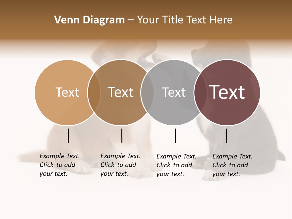 Photography Young Touch PowerPoint Template