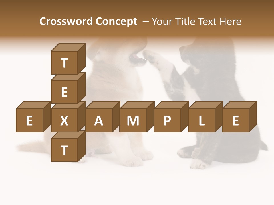 Photography Young Touch PowerPoint Template