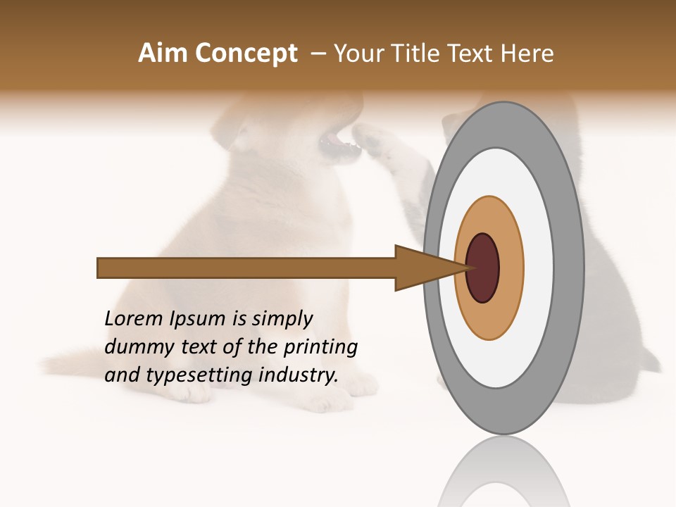 Photography Young Touch PowerPoint Template