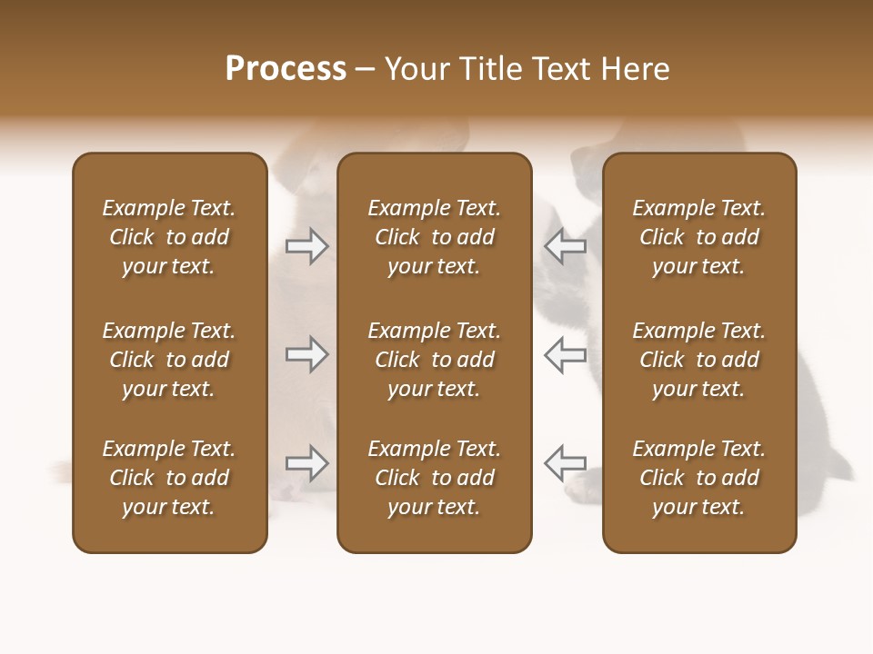 Photography Young Touch PowerPoint Template