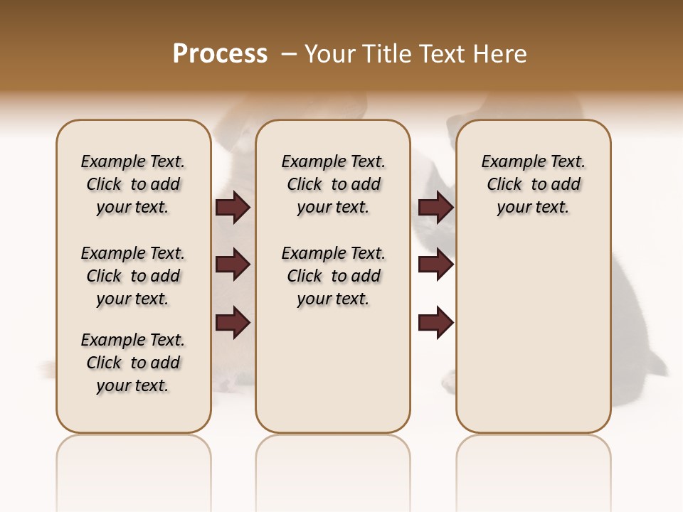 Photography Young Touch PowerPoint Template