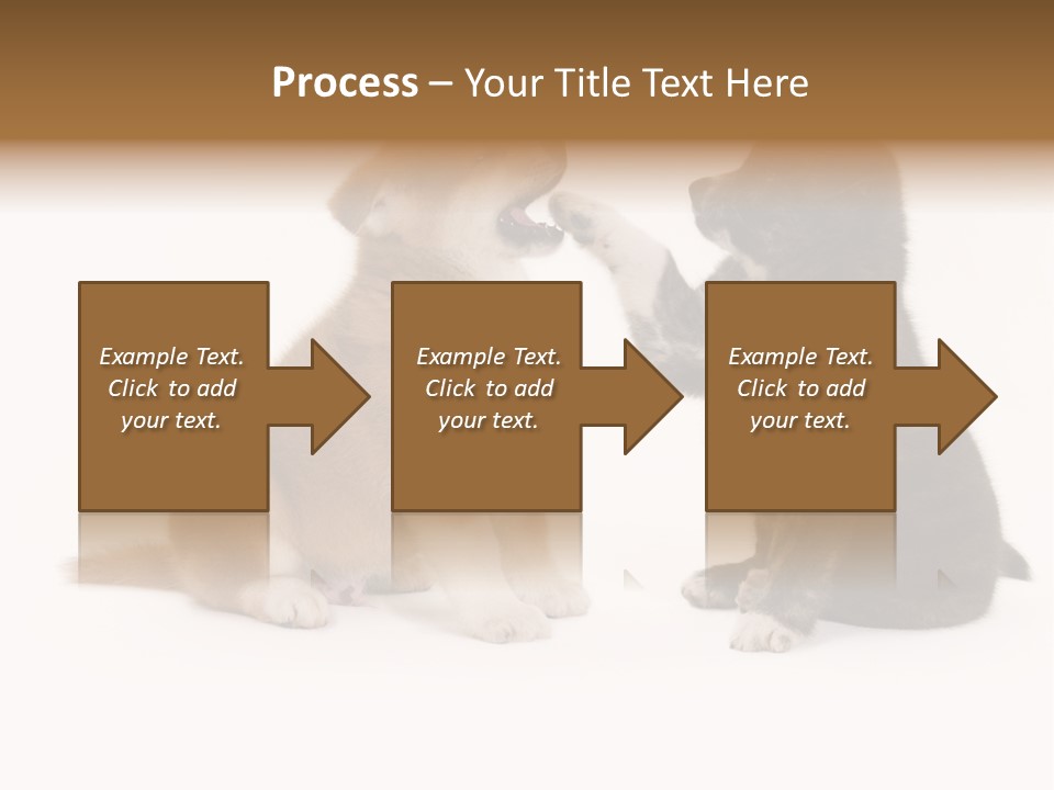 Photography Young Touch PowerPoint Template