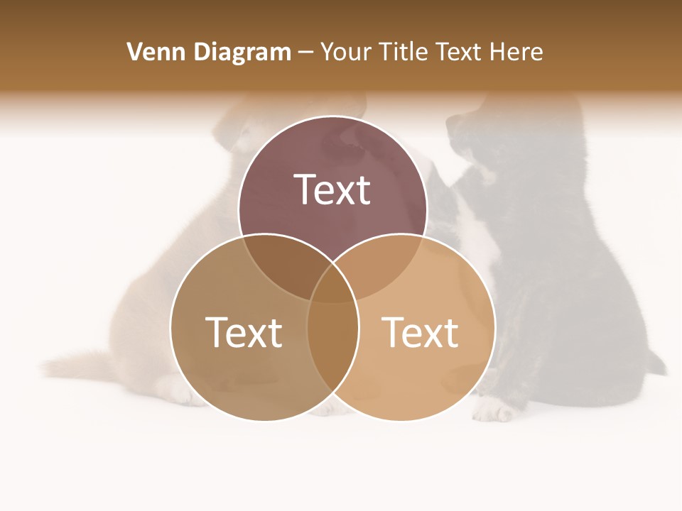 Photography Young Touch PowerPoint Template