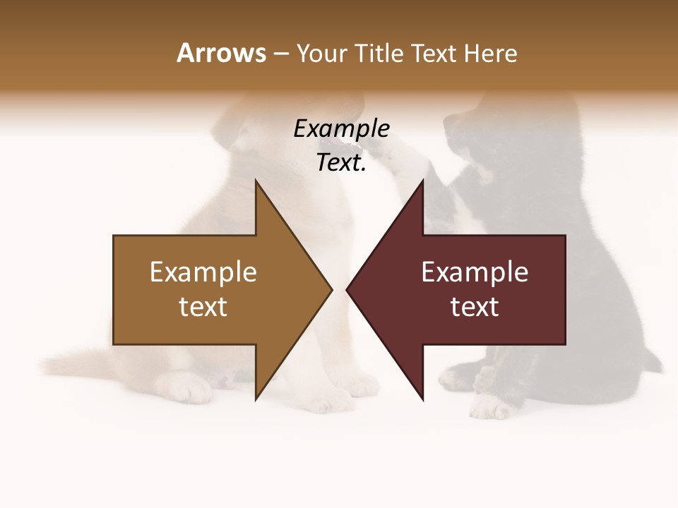 Photography Young Touch PowerPoint Template