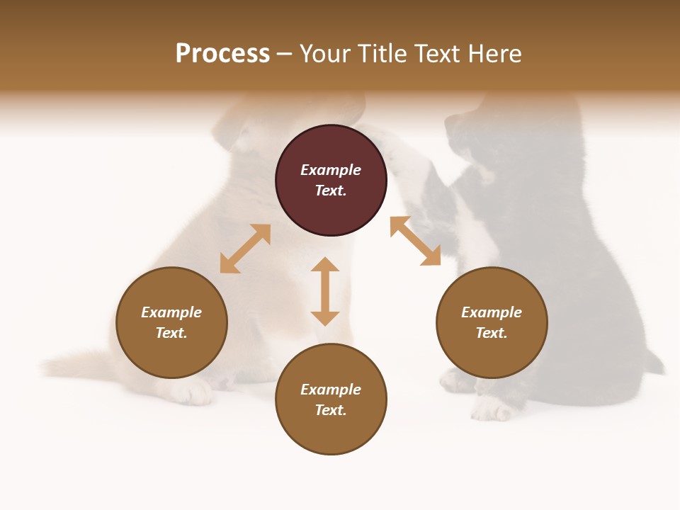Photography Young Touch PowerPoint Template