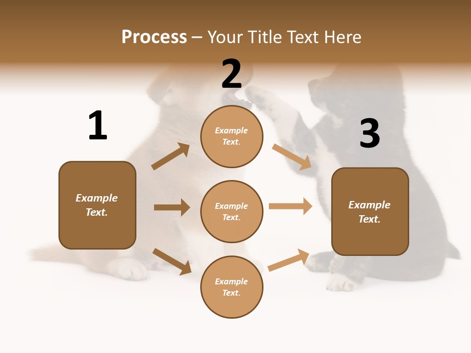 Photography Young Touch PowerPoint Template