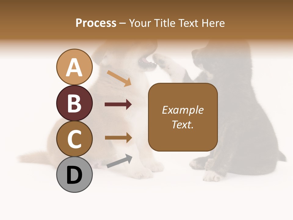 Photography Young Touch PowerPoint Template