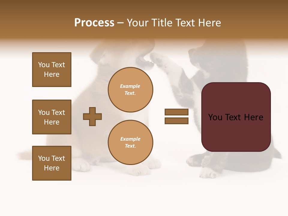 Photography Young Touch PowerPoint Template