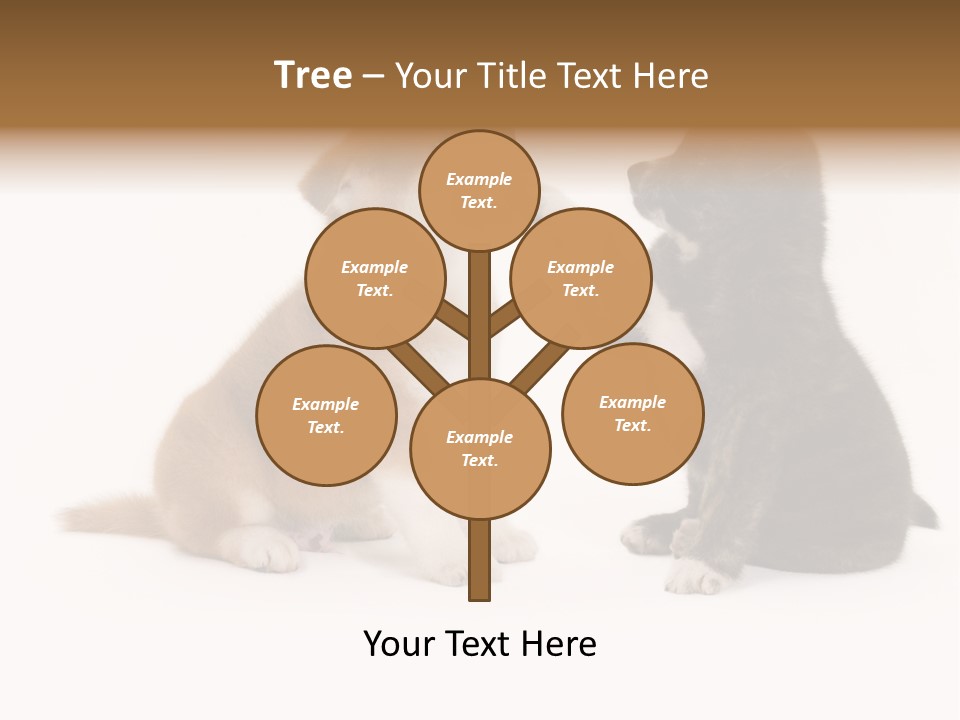 Photography Young Touch PowerPoint Template