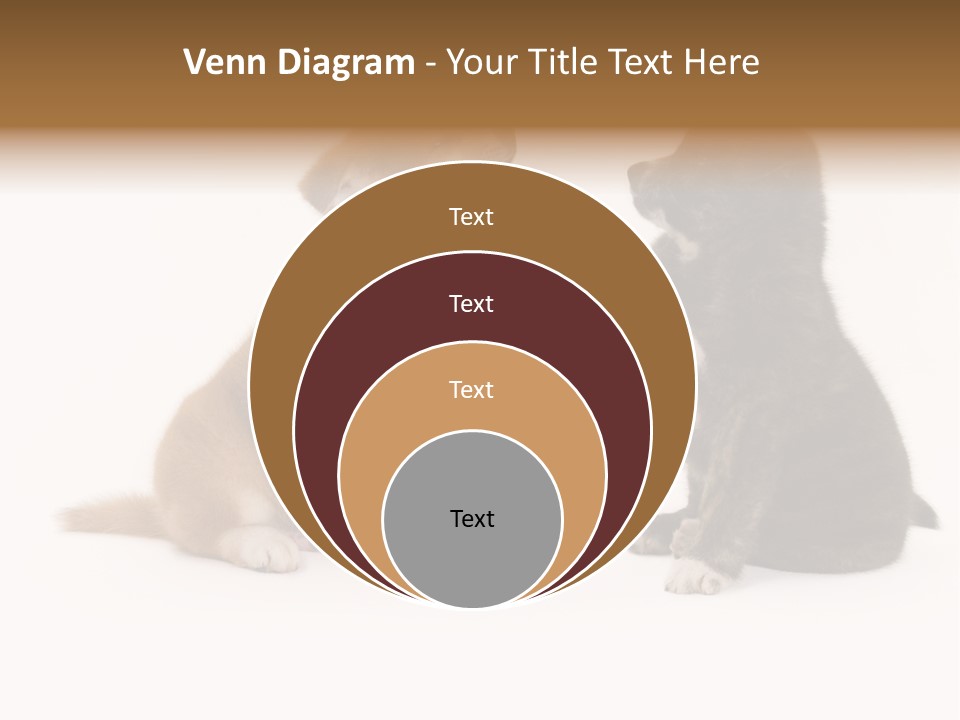 Photography Young Touch PowerPoint Template