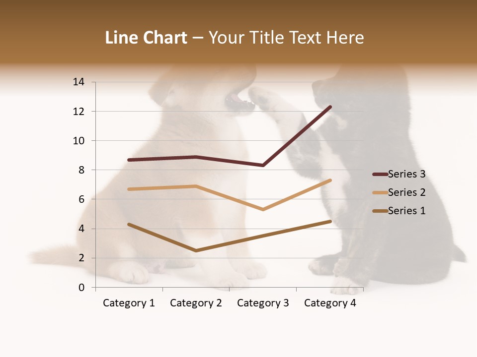 Photography Young Touch PowerPoint Template