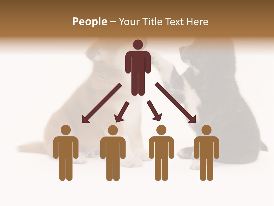 Photography Young Touch PowerPoint Template