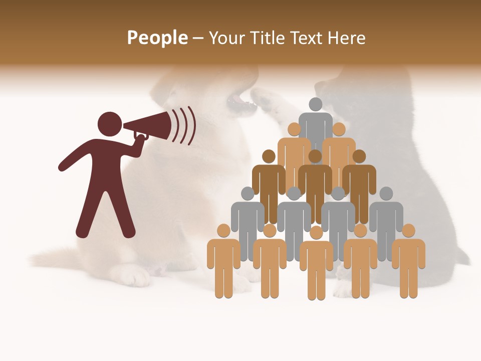 Photography Young Touch PowerPoint Template