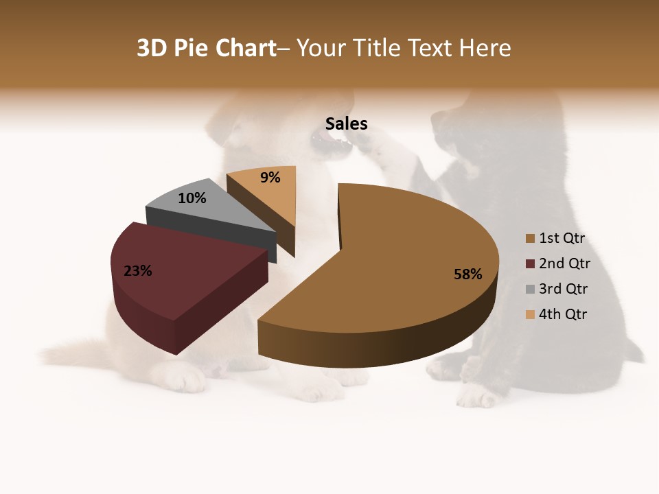 Photography Young Touch PowerPoint Template
