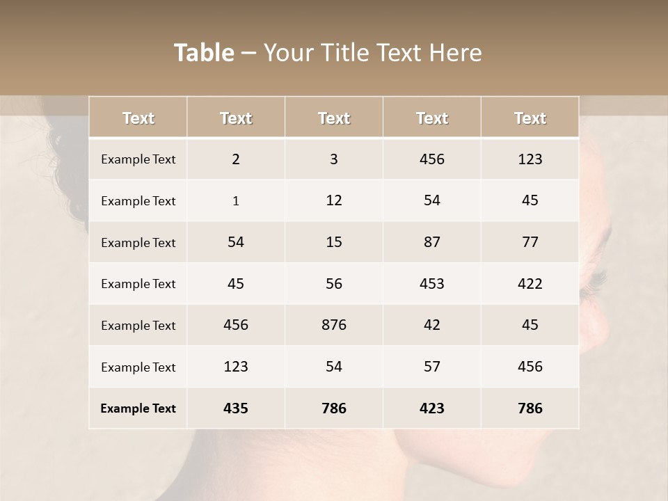 Red Bay Color PowerPoint Template