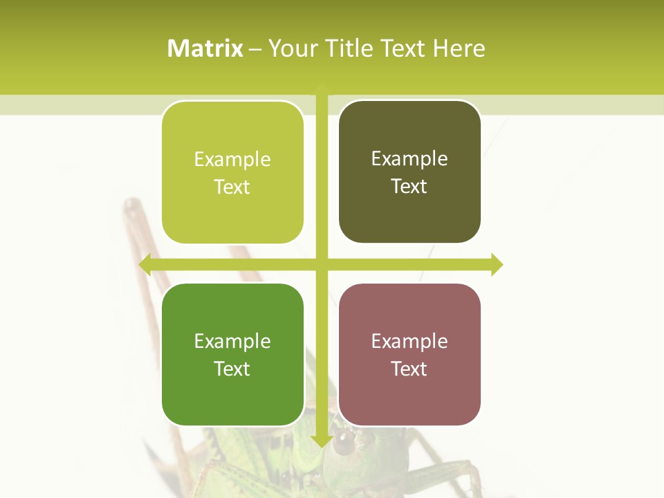 White Stallion Color PowerPoint Template