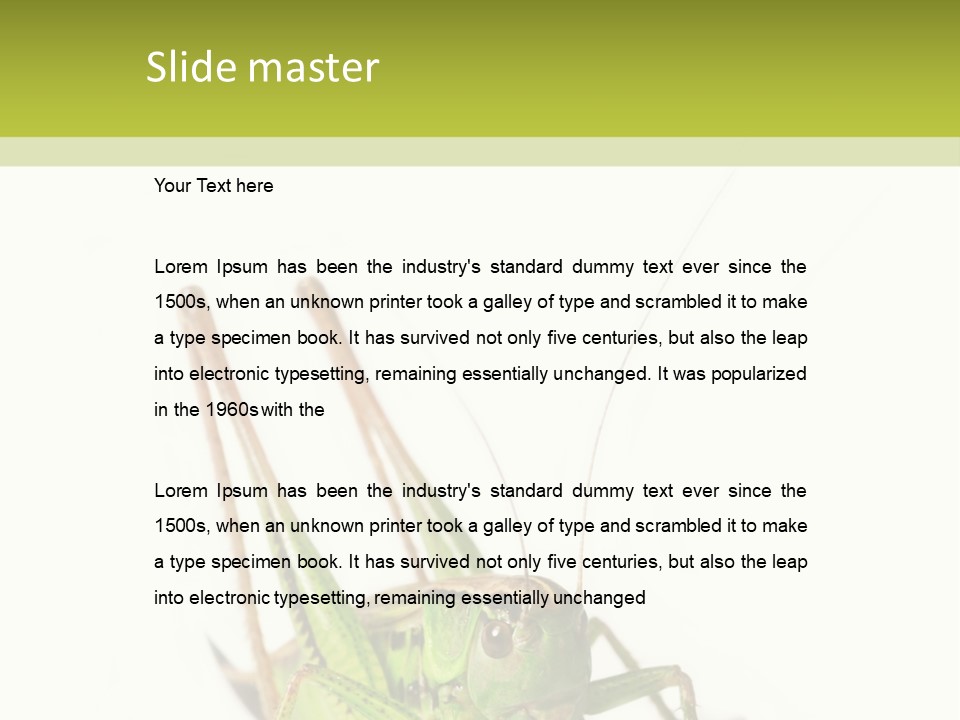 White Stallion Color PowerPoint Template