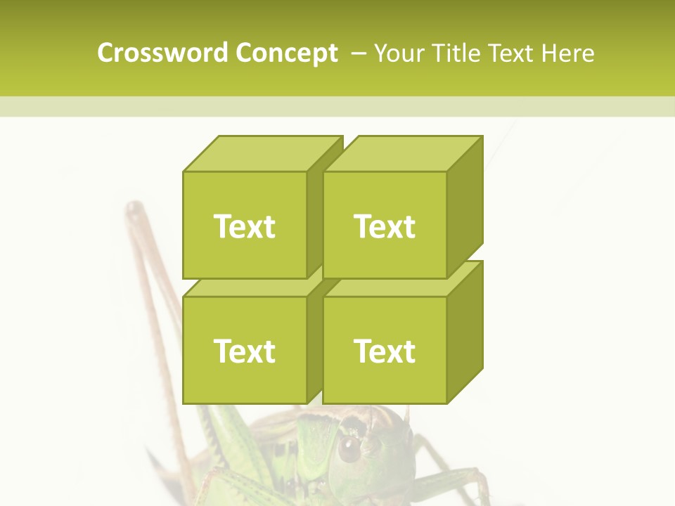 White Stallion Color PowerPoint Template