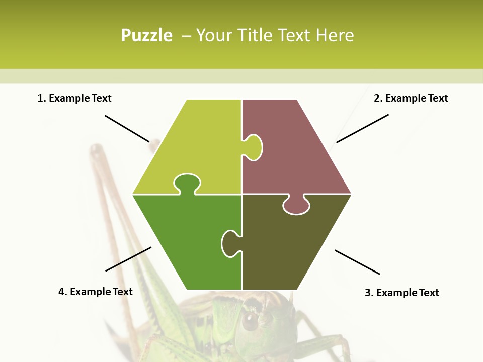 White Stallion Color PowerPoint Template