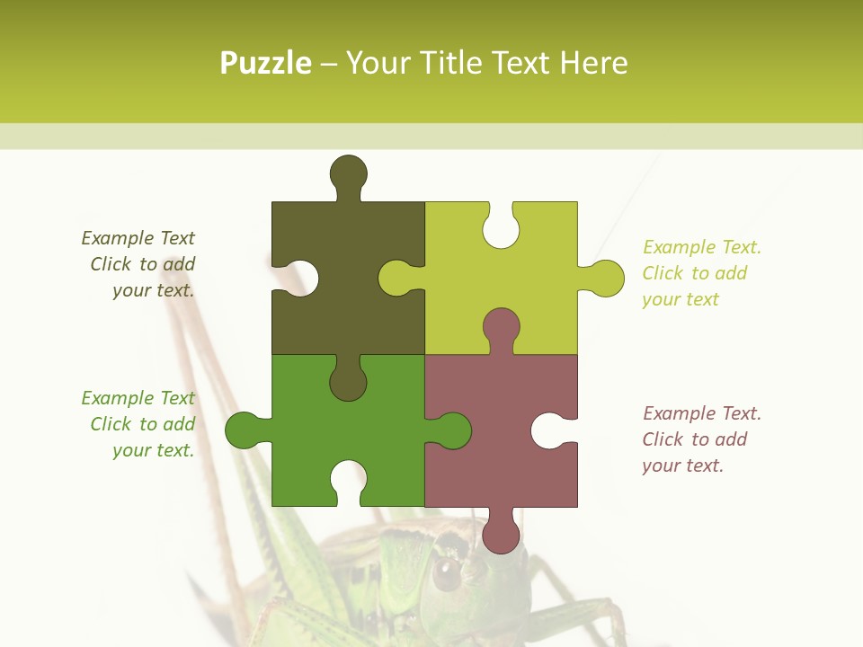 White Stallion Color PowerPoint Template