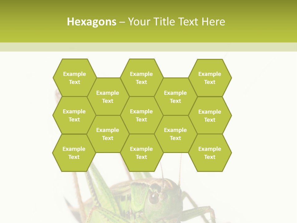 White Stallion Color PowerPoint Template